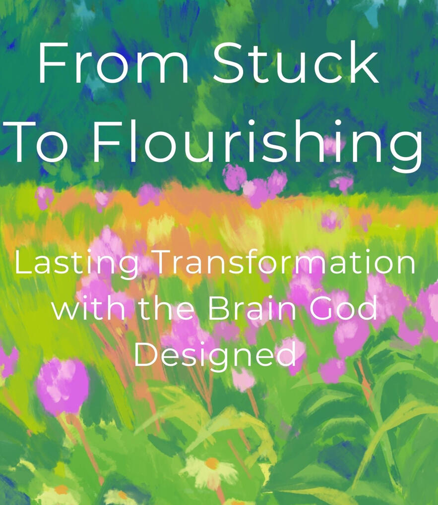 Ruth can help you with coaching which is led by the Holy Spirit, trauma aware with a deep understanding of how your brain works. So can help you move from stuck to flourishing. Email ruthjruthj@gmail.com